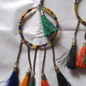 Black Tassel Earrings & Multicolored Earring
