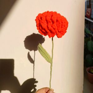 Cute Crochet Carnation Flowers 💐✨️
