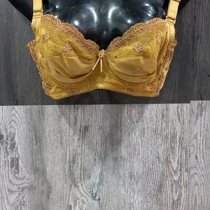 Shiny Golden Bra