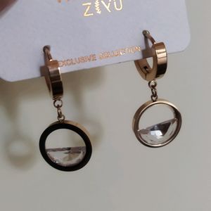 Stainless Steel Earings