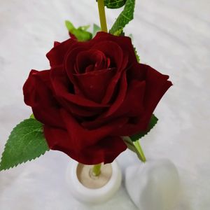 Rose Pots Pack Of 2