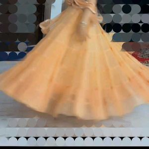 Ball Gown With Frill Dupatta