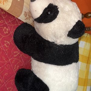 A Medium Size Panda