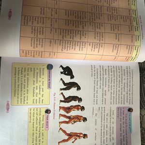 BIOLOGY CLASS 12th MAHARASHTRA BOARD BOOK