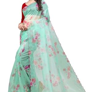 Beautiful Organza Saree