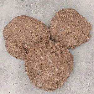 Cow Dung Cake