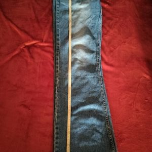 American Eagle Oversized Parallel Jeans