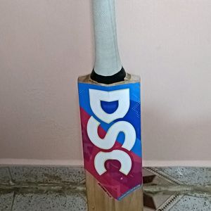 DSC ENGLISH Willow Bat Already Knocked