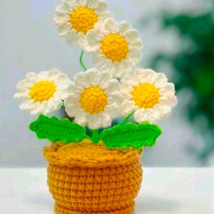 Crochet 6 Flower Pot