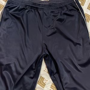 Regular Fit Lower Track Pant