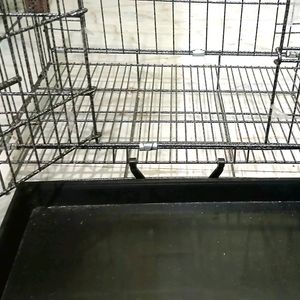 Folding Metal Cage/ Kennel With Tray