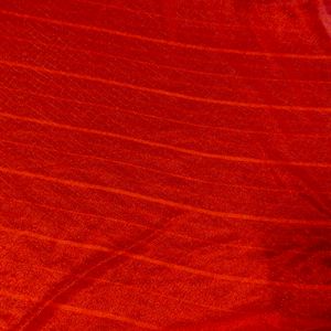 Red Party Wear Saree With Blouse