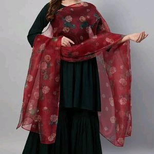 Organza Dupatta