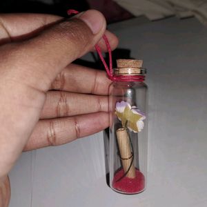 Bottle Gift