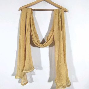 Cream Dupatta (Women's)