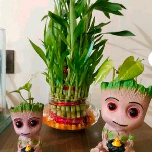 Groot Family Pack Of 2 For Home Decore