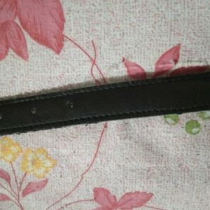 Belt