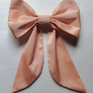 A Cute Bow Clip