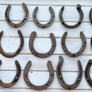 🐎Horseshoe Pack Of 1