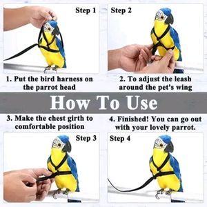 Bird Harness