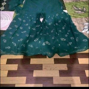 Ready To Wear Saree No Coins 1 Time Used Only