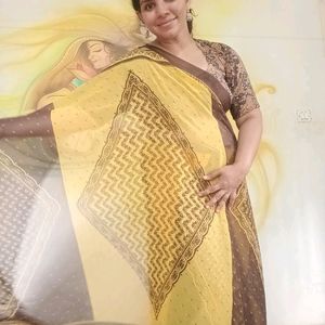 Vintage Chiffon Saree