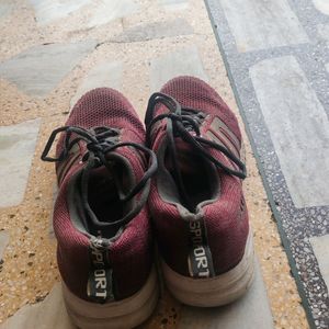 Maroon casual sports shoe.