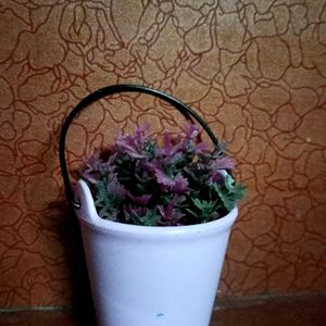 This Is Small Bucket With A Pink And Purple Colour