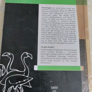 Ncert Class12 English Textbook-, Flamingo