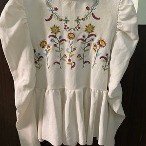 Shein Peplum Embroidered Full Sleeves Top