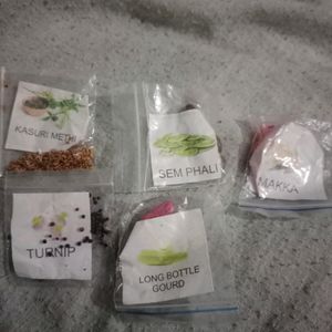 5 Vegatble Seeds