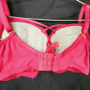 Padad Redisht Maroon Colour Bra