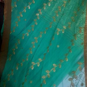 Beautiful Lite Green Colour Ethinc Gown