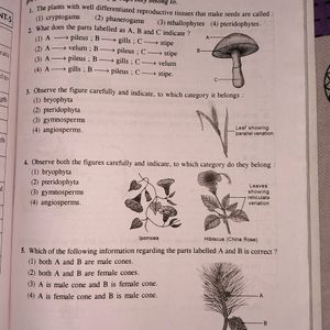 Class 9th Science Sample Paper Book