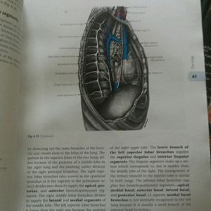 Cunningham Manual Of Practical Anatomy