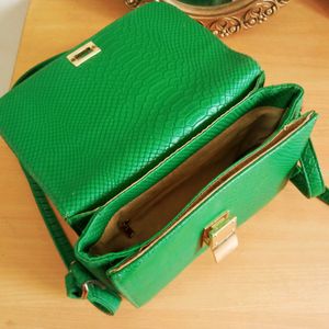 Celine Green Python Medium Classic Sling Bag