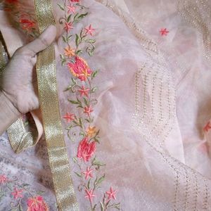 Organza Dupatta with silk embroidery