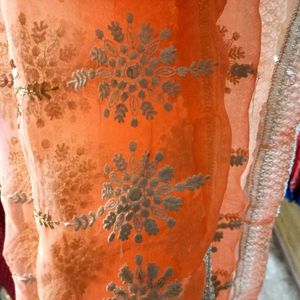 All Over Machine Embroidery work Dupatta