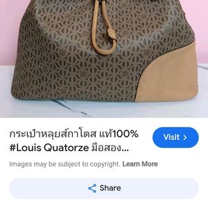 Louis Quaterze Thrifted Bag