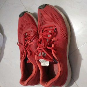 Good Condition Sports Shoes