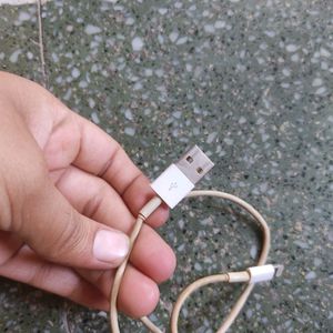 Apple Lightning Cable