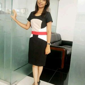 Bodycon Dress (Corporate Use )