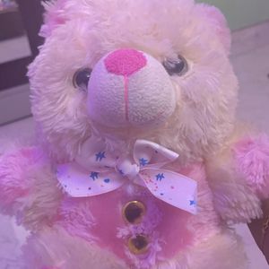 🎀Teddy Bear Pink🎀