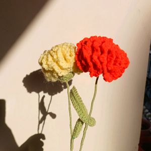 Cute Crochet Carnation Flowers 💐✨️
