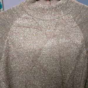 Turtle Neck Shimmery Sweater