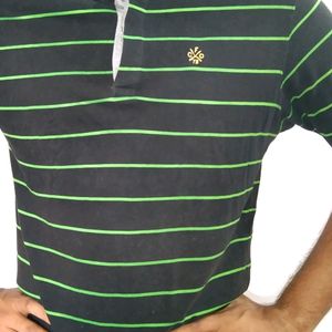 Men Striped Black Green Polo T Shirt & For Women