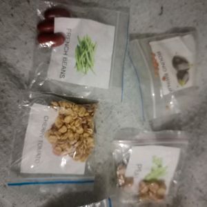 5 Vegetable Seeds