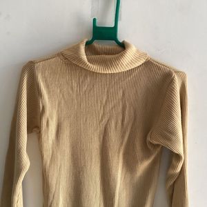 Tan Brown Turtle Neck