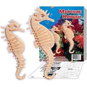 SEA HORSE