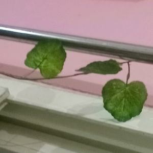 1 Set Leaf